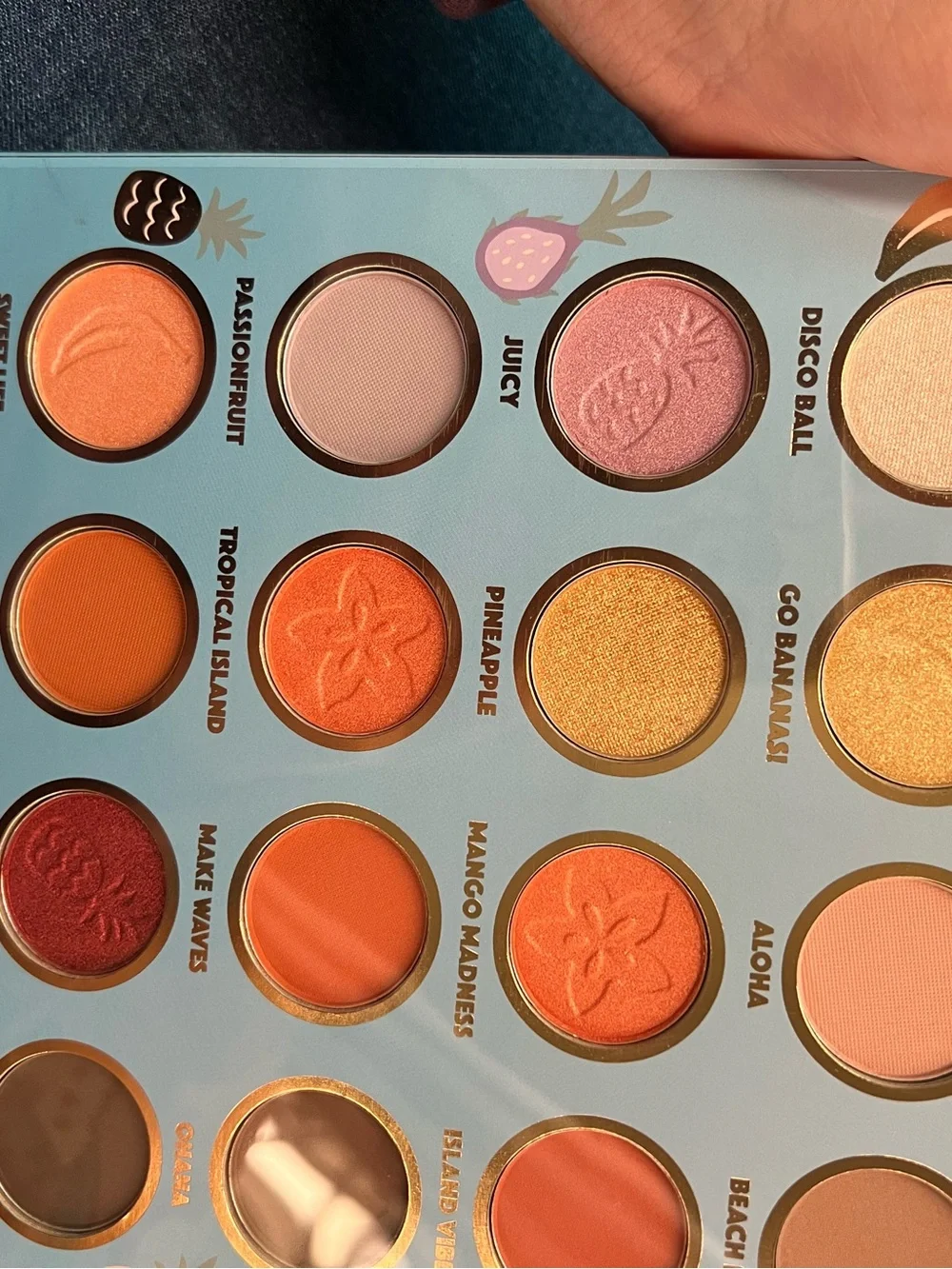 Disney 16 shade